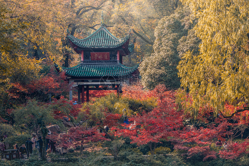 岳麓山秋景