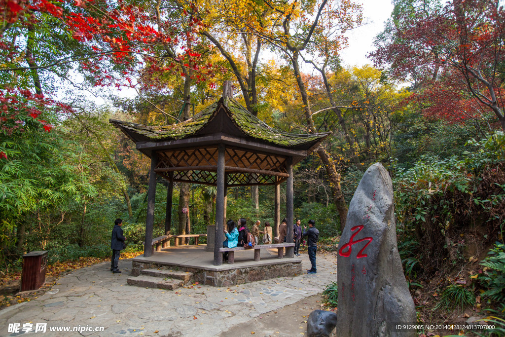 岳麓山步道